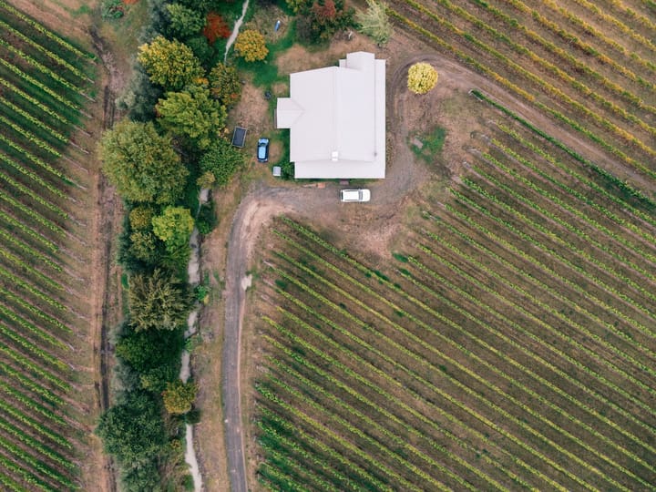 Ce que le report coûte aux petites structures